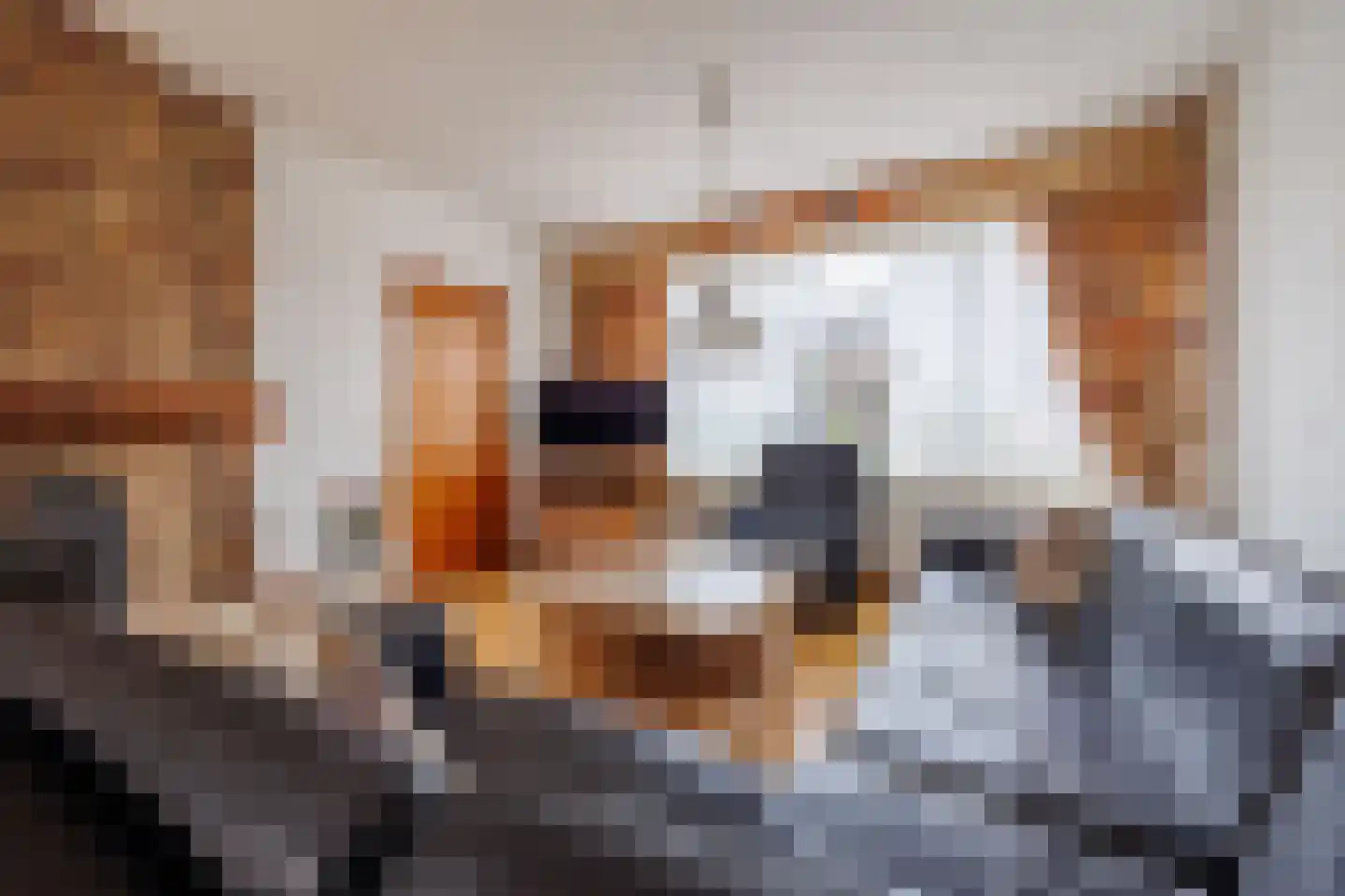 Kreeftenheide 18 Siebengewald thumbnail 10