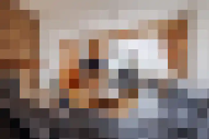 Kreeftenheide 18 Siebengewald thumbnail 10