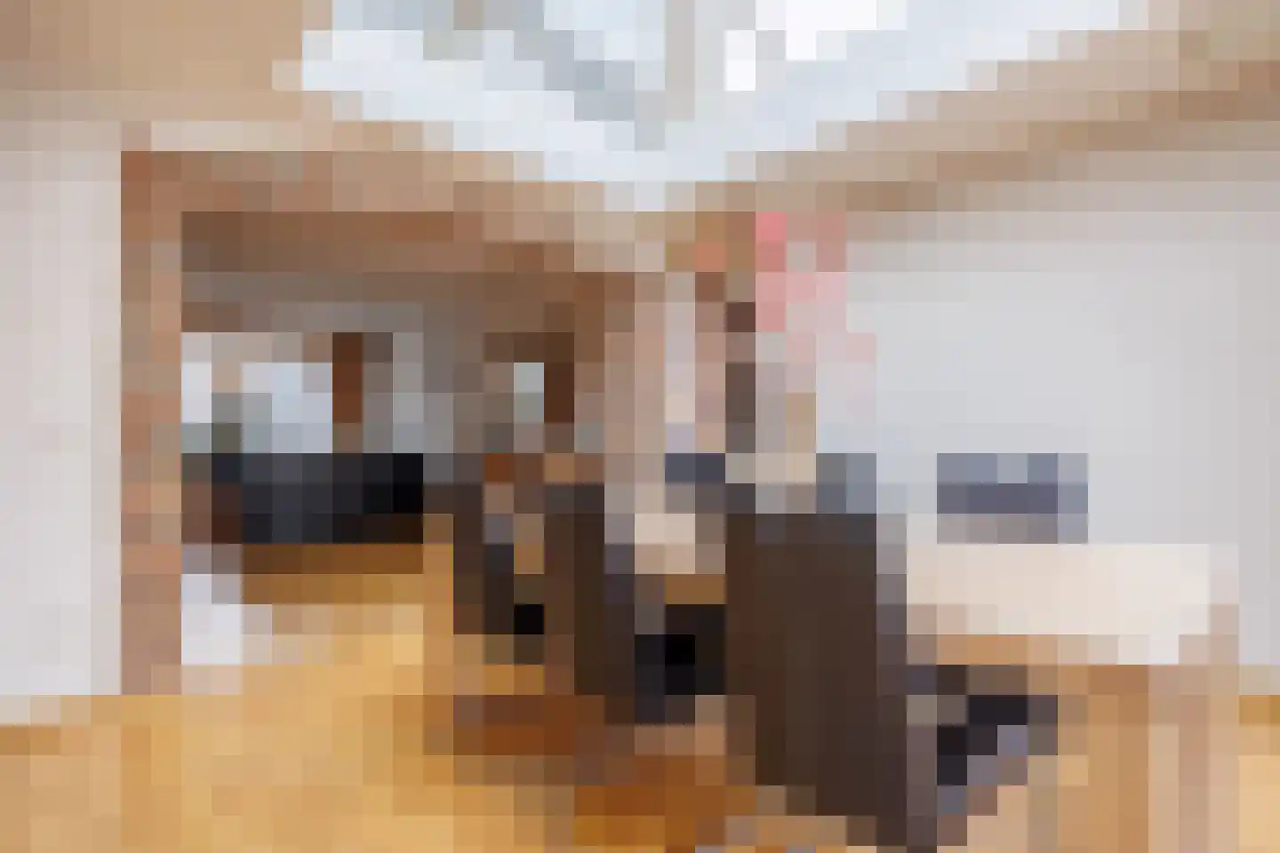 Kreeftenheide 18 Siebengewald thumbnail 13