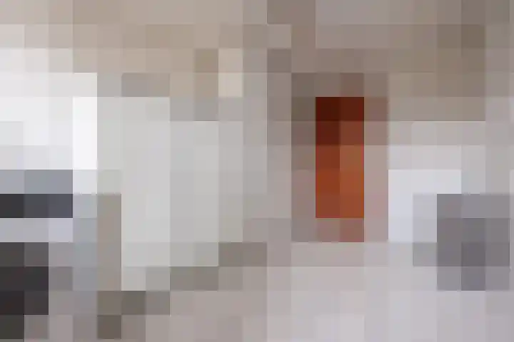 Kreeftenheide 18 Siebengewald thumbnail 17