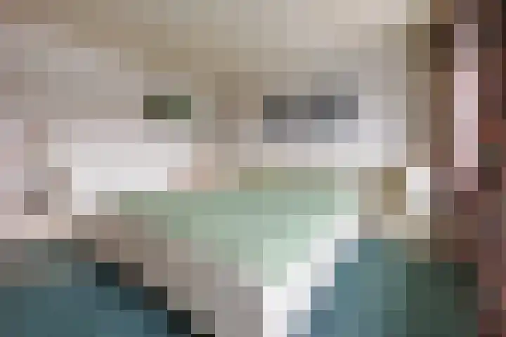 Kreeftenheide 18 Siebengewald thumbnail 22