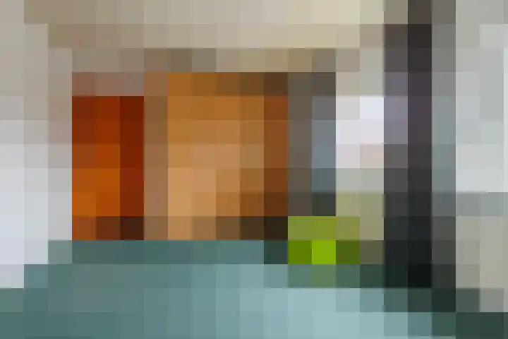 Kreeftenheide 18 Siebengewald thumbnail 25