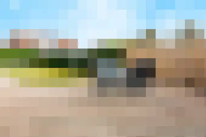 Kreeftenheide 18 Siebengewald thumbnail 37