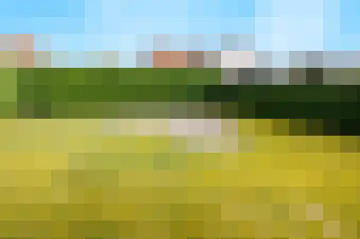 Kreeftenheide 18 Siebengewald thumbnail 40