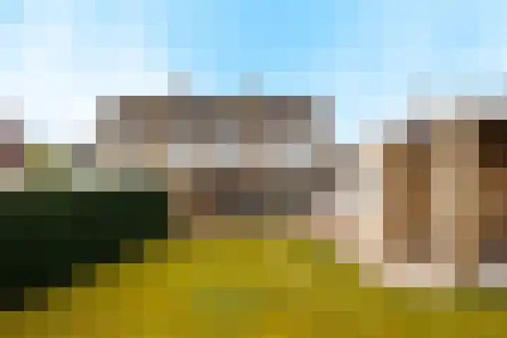 Kreeftenheide 18 Siebengewald thumbnail 41