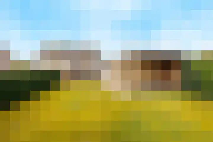 Kreeftenheide 18 Siebengewald thumbnail 42