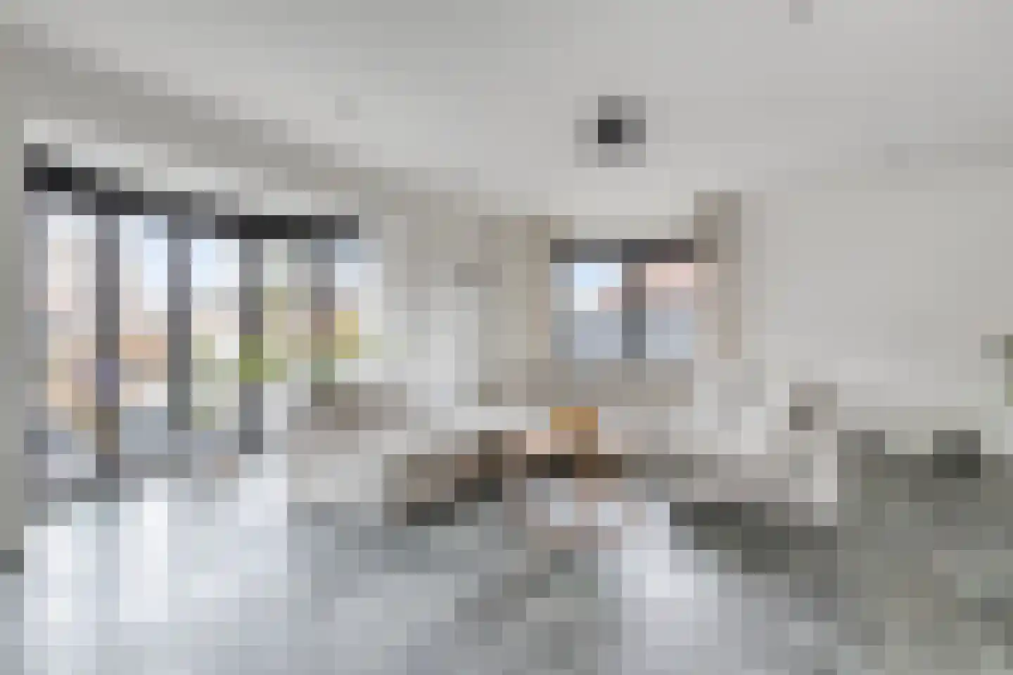 Kreeftenheide 67 Siebengewald thumbnail 10