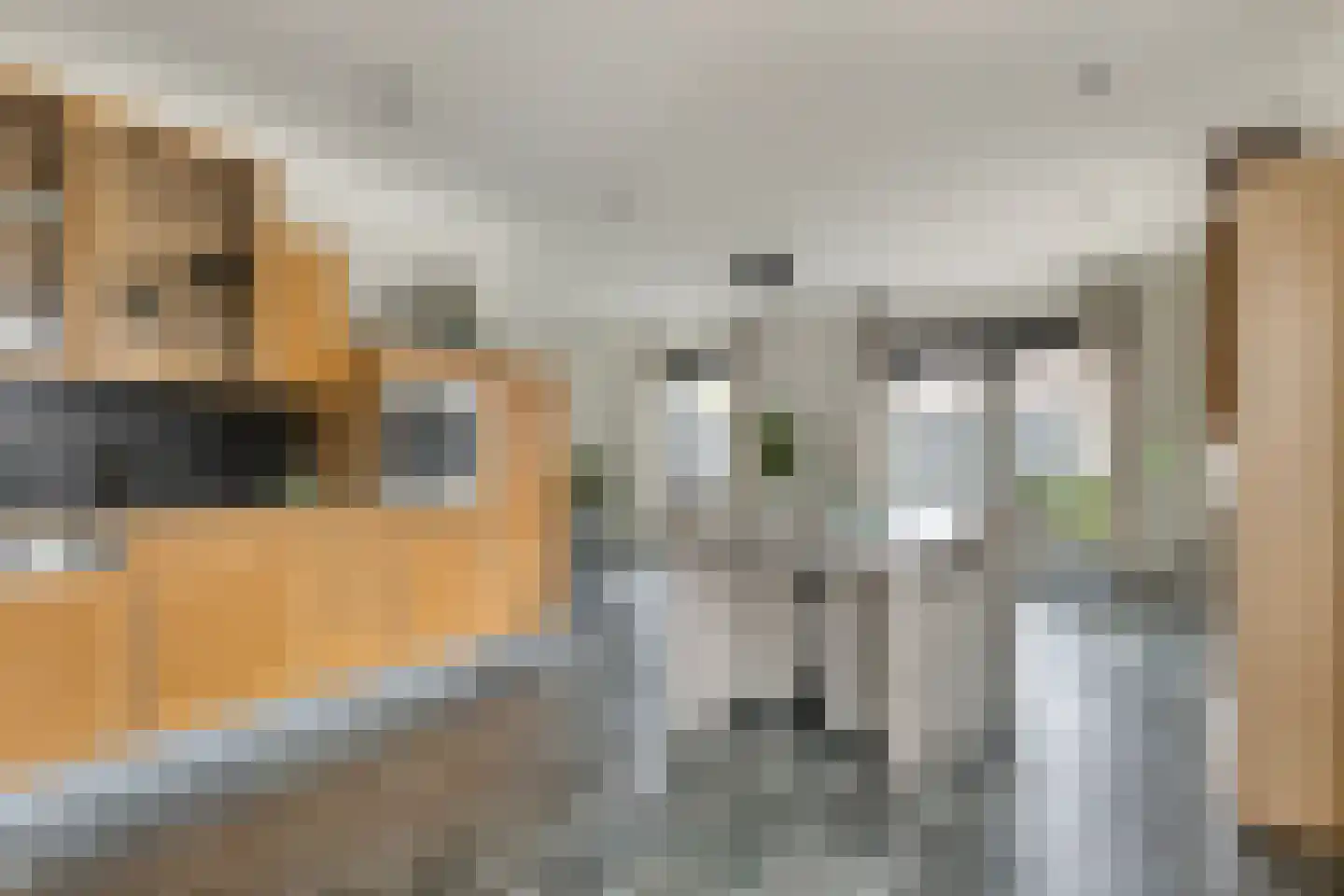 Kreeftenheide 67 Siebengewald thumbnail 19