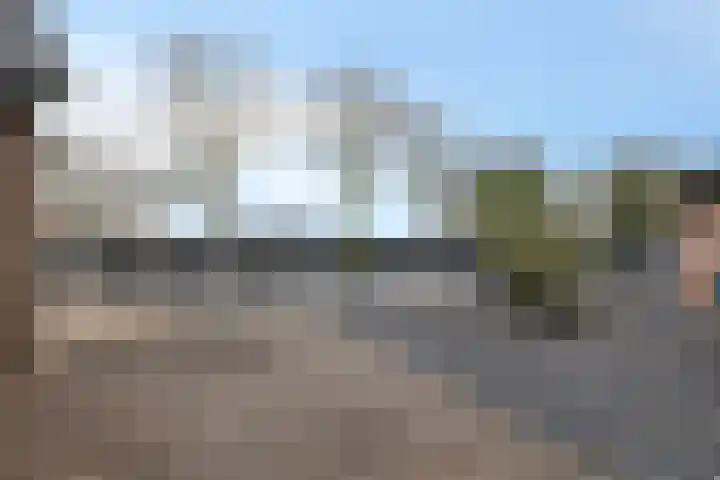 Kreeftenheide 67 Siebengewald thumbnail 40