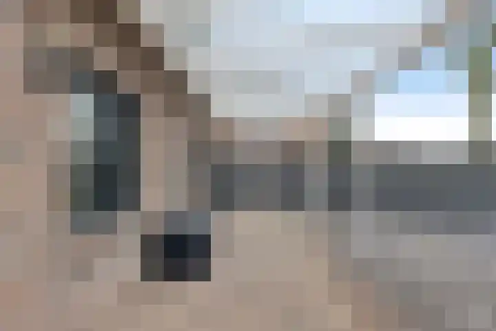 Kreeftenheide 67 Siebengewald thumbnail 41