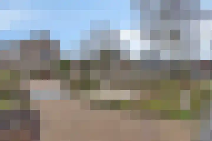 Kreeftenheide 67 Siebengewald thumbnail 50
