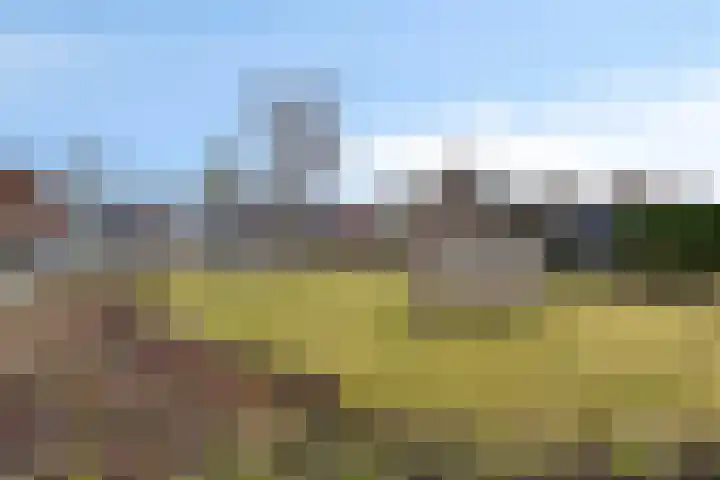 Kreeftenheide 67 Siebengewald thumbnail 51