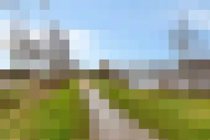 Kreeftenheide 67 Siebengewald thumbnail 52