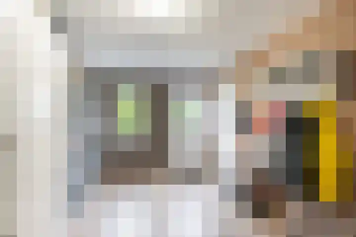 Kreeftenstraat 1 Tholen thumbnail 17