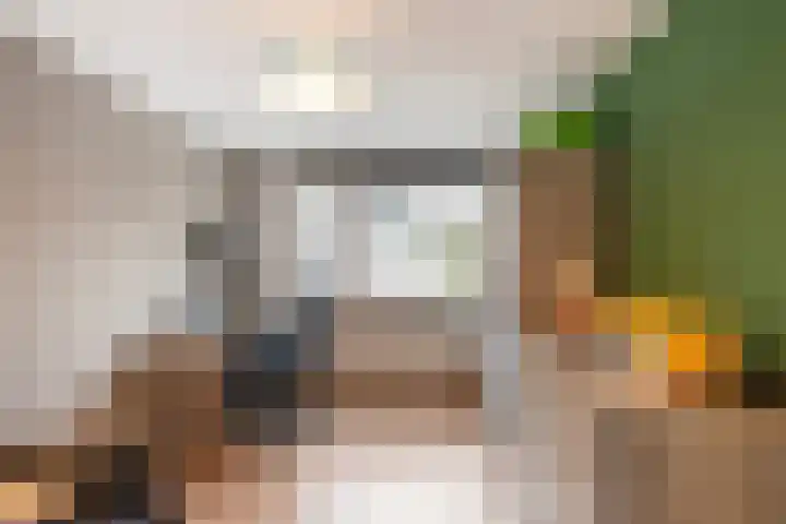Kreeftenstraat 1 Tholen thumbnail 24