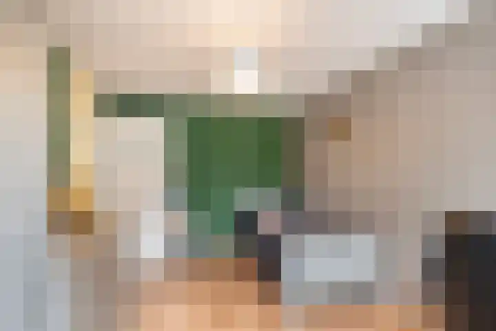 Kreeftenstraat 1 Tholen thumbnail 25