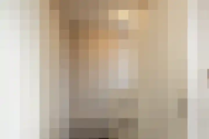 Kreeftenstraat 1 Tholen thumbnail 28