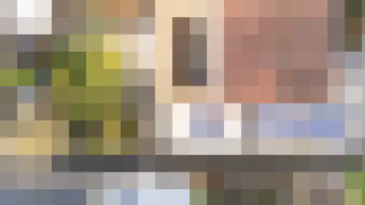Kreeftenstraat 1 Tholen thumbnail 32