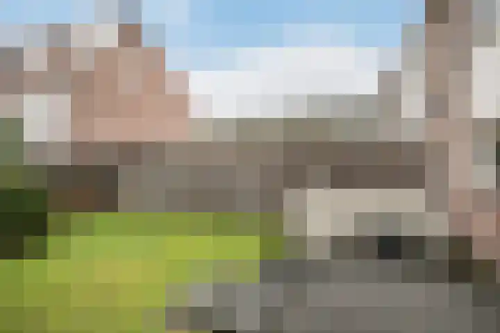 Kreeftenstraat 1 Tholen thumbnail 33