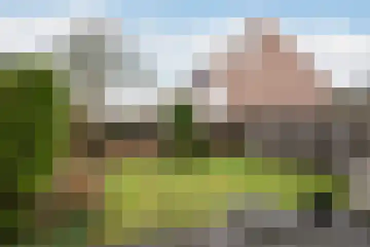 Kreeftenstraat 1 Tholen thumbnail 4