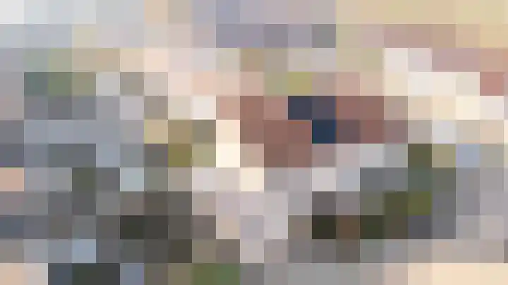 Kreeftenstraat 1 Tholen thumbnail 5