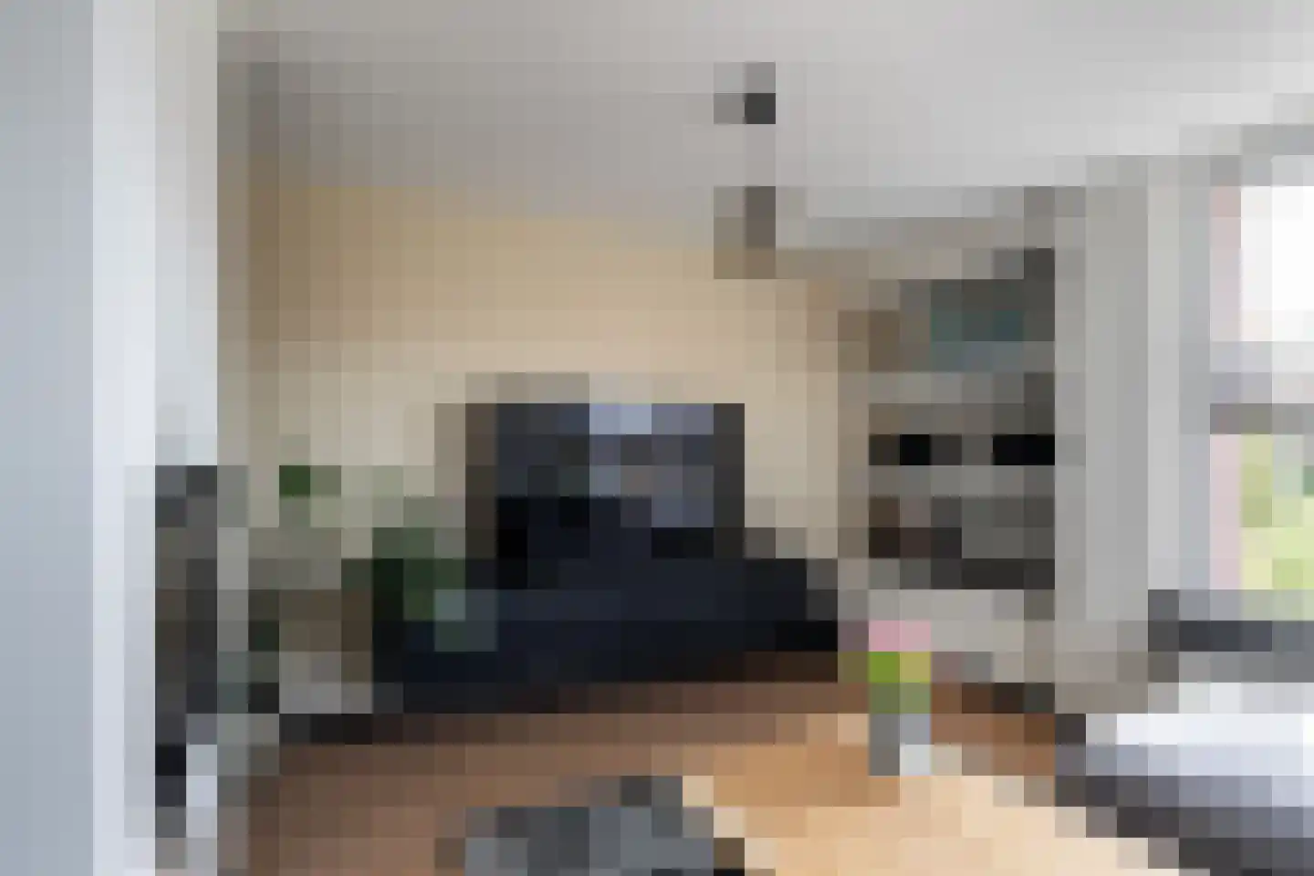 Kreeftenstraat 32 Tholen thumbnail 15
