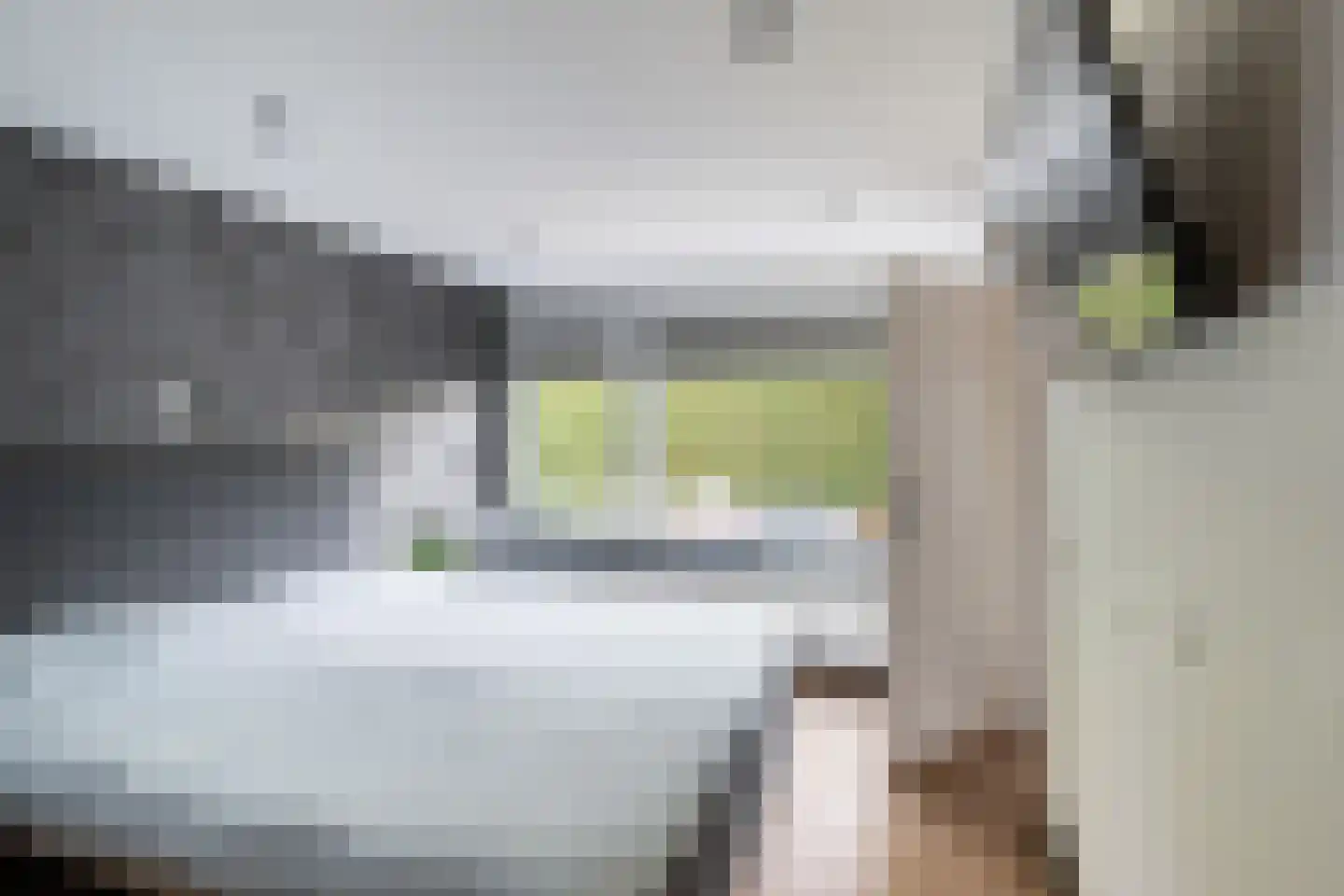 Kreeftenstraat 32 Tholen thumbnail 22