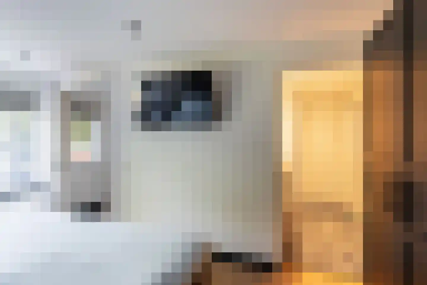 Kreeftenstraat 32 Tholen thumbnail 23
