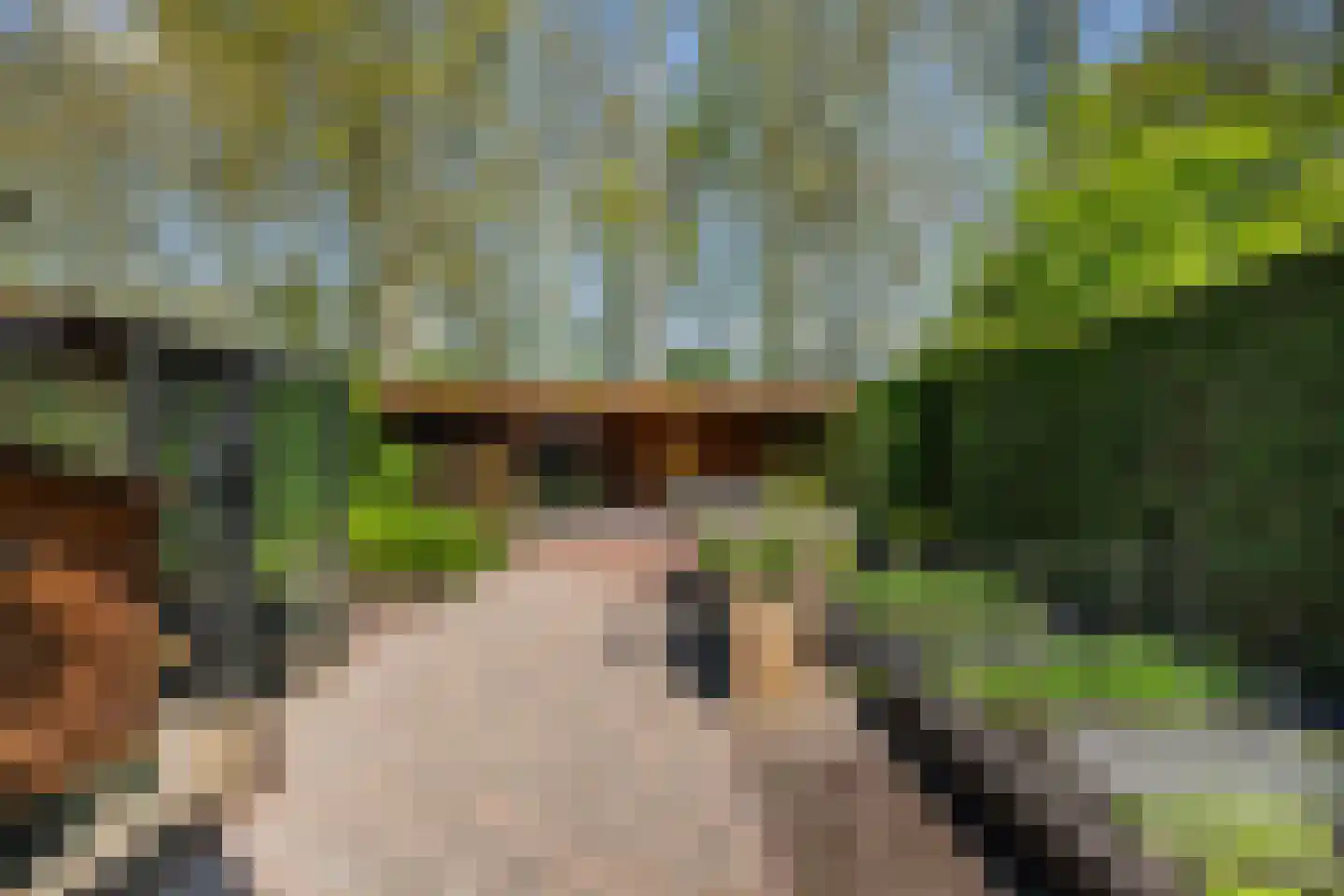 Kreeftenstraat 32 Tholen thumbnail 33