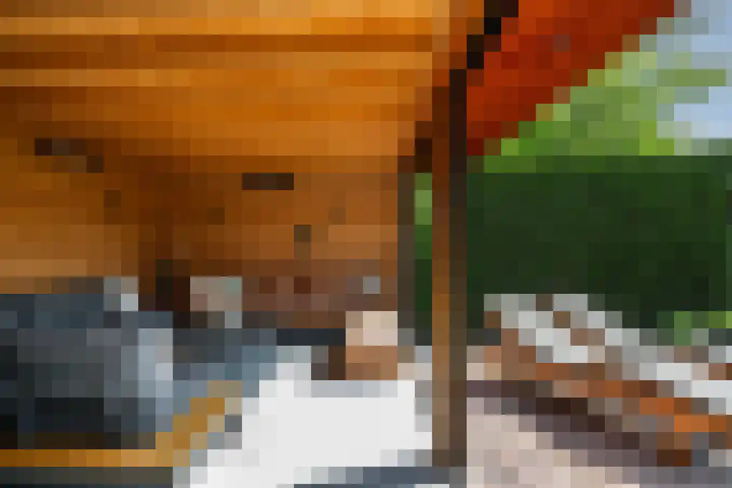 Kreeftenstraat 32 Tholen thumbnail 34