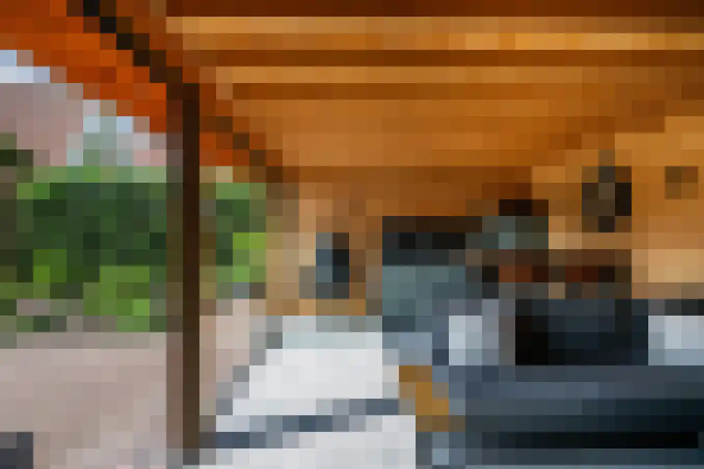 Kreeftenstraat 32 Tholen thumbnail 35