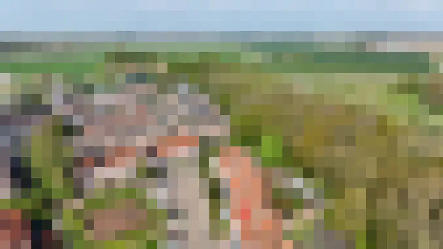 Kreeftenstraat 32 Tholen thumbnail 37