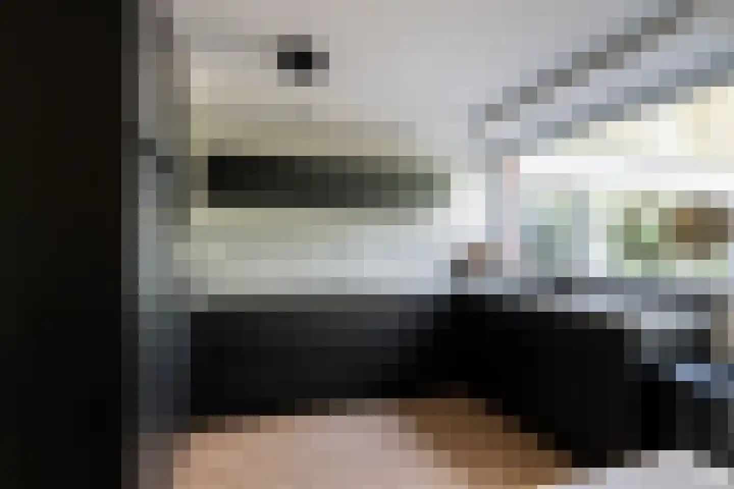Kreeftenstraat 32 Tholen thumbnail 5