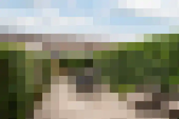 Kreeftenstraat 33 Tholen thumbnail 28