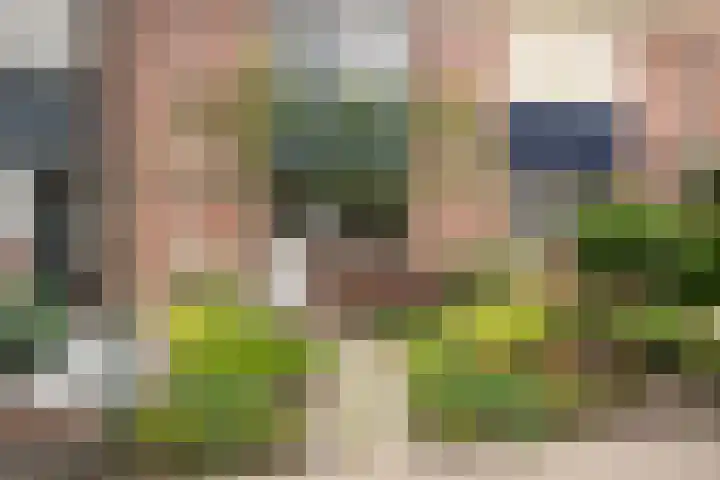 Kreeftenstraat 33 Tholen thumbnail 6