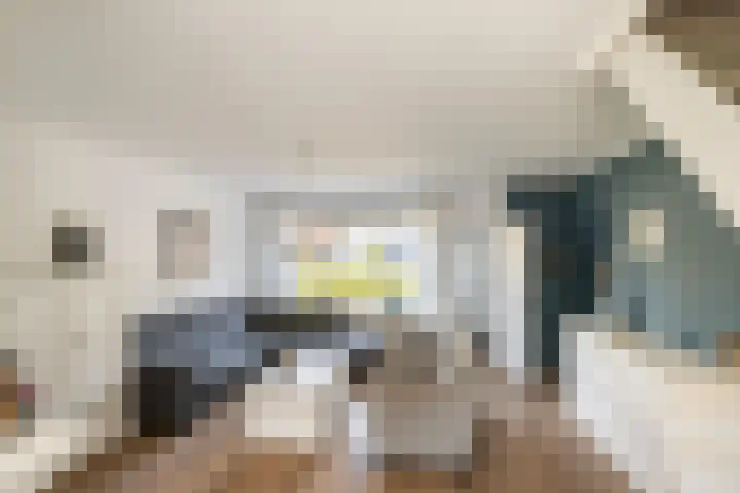 Kreeftenstraat 7 Tholen thumbnail 14