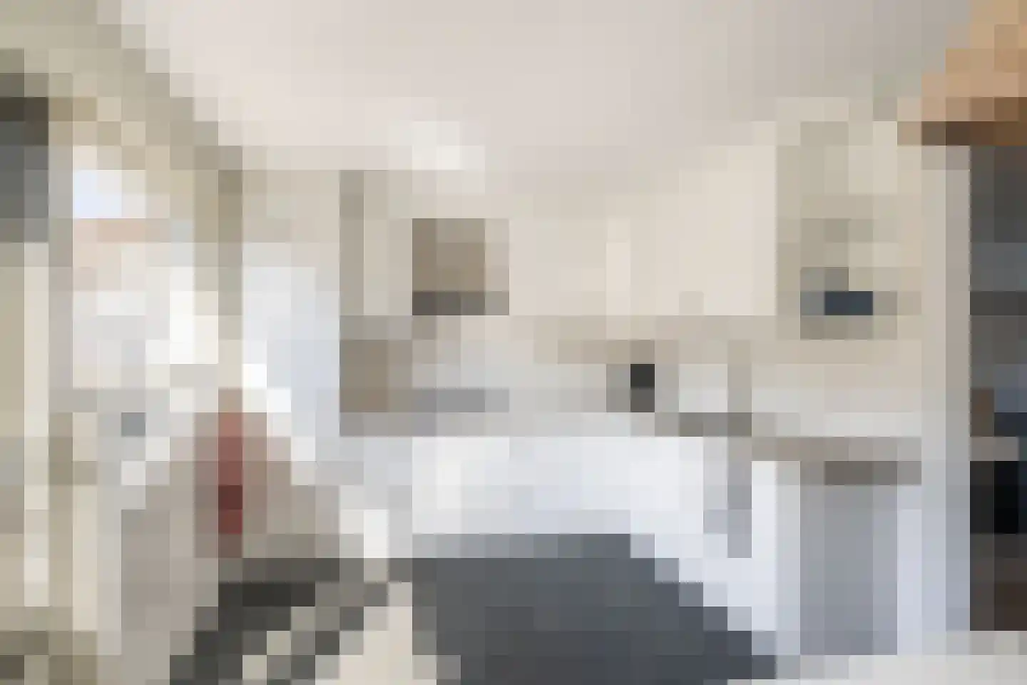 Kreeftenstraat 7 Tholen thumbnail 19