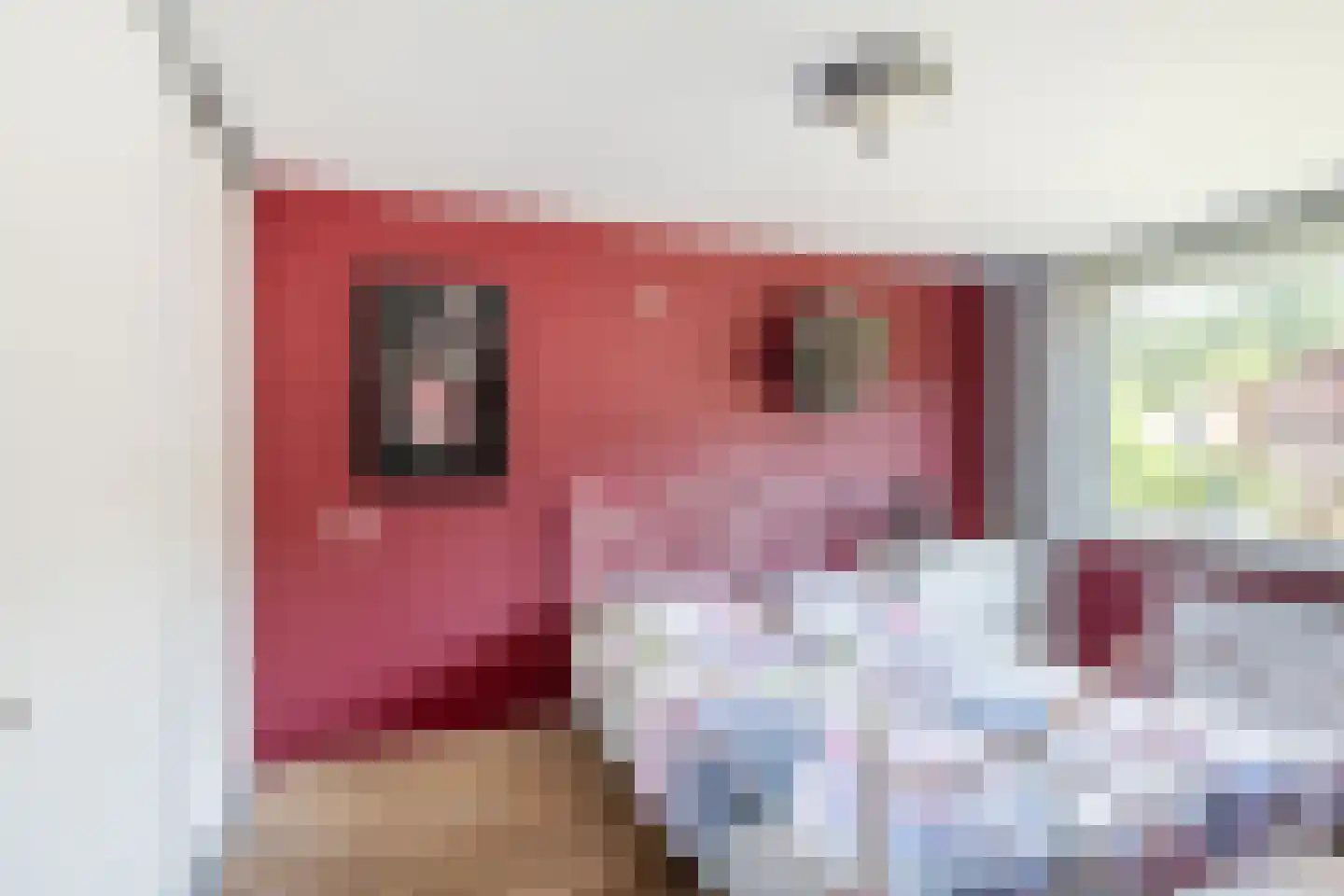 Kreeftenstraat 7 Tholen thumbnail 22
