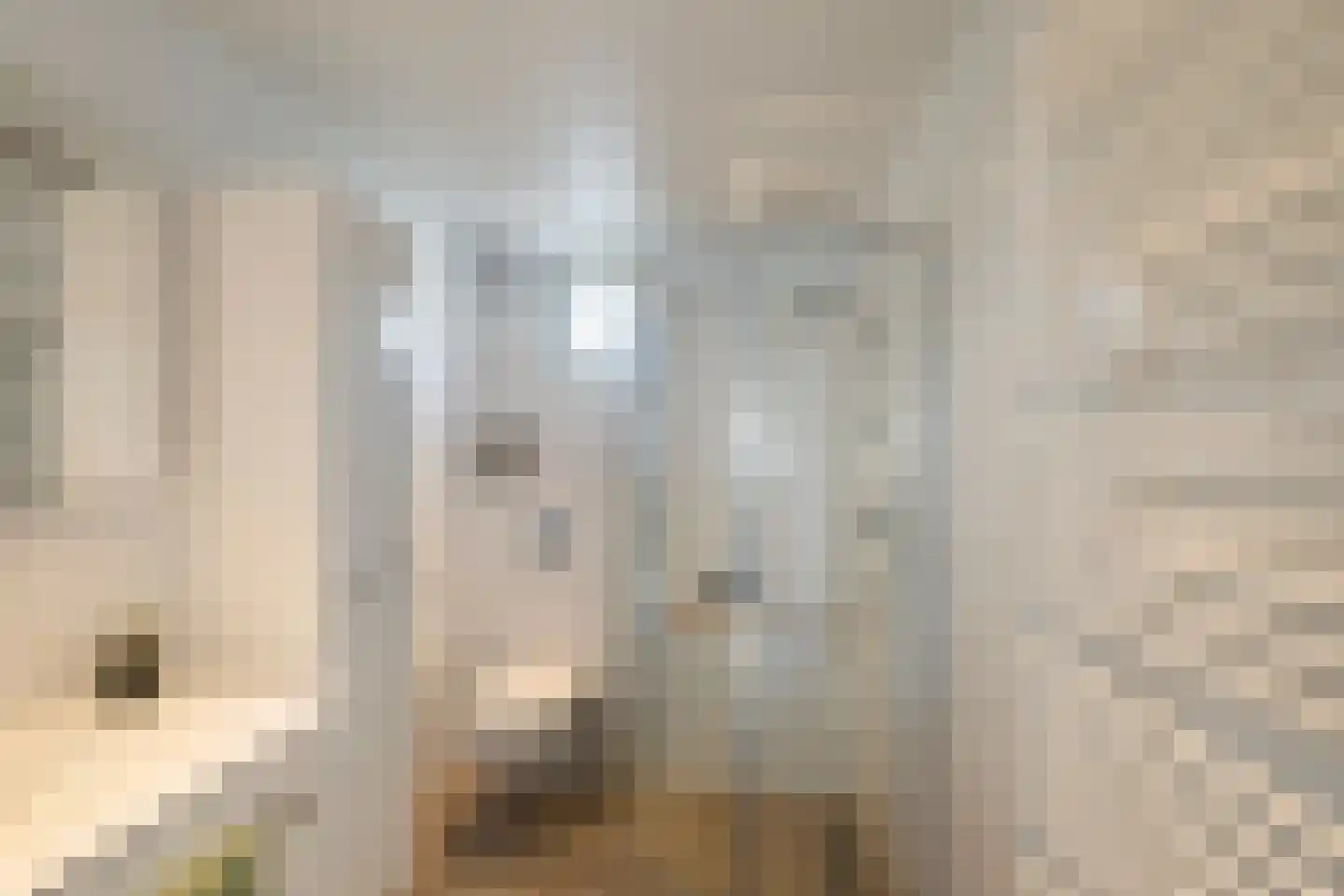 Kreeftenstraat 7 Tholen thumbnail 28
