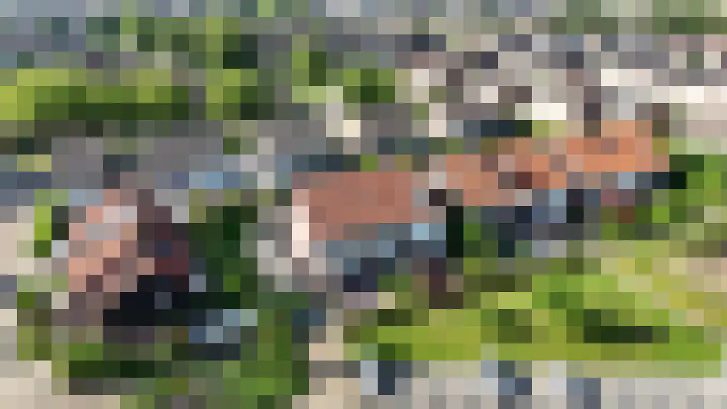Kreeftenstraat 7 Tholen thumbnail 37