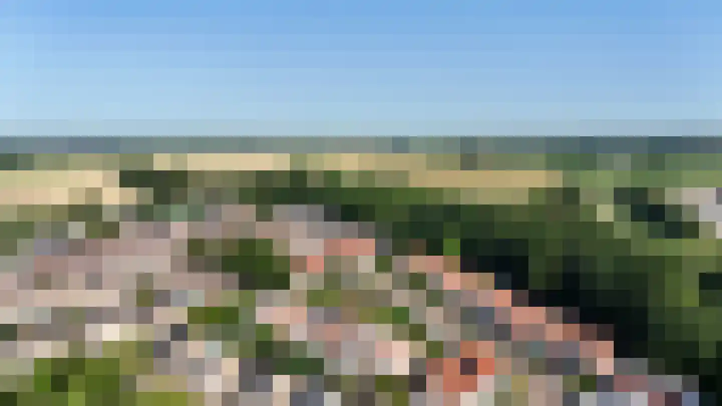 Kreeftenstraat 7 Tholen thumbnail 38