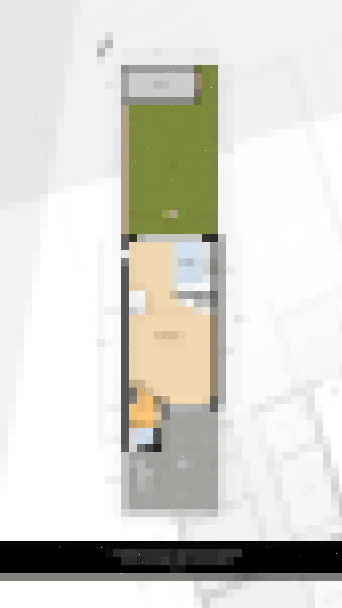 Kreeftenstraat 7 Tholen thumbnail 42