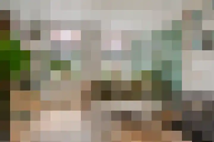 Kreeftstraat 11 Eindhoven thumbnail 13