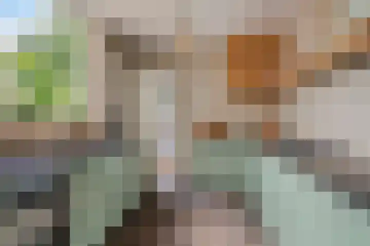 Kreeftstraat 11 Eindhoven thumbnail 16