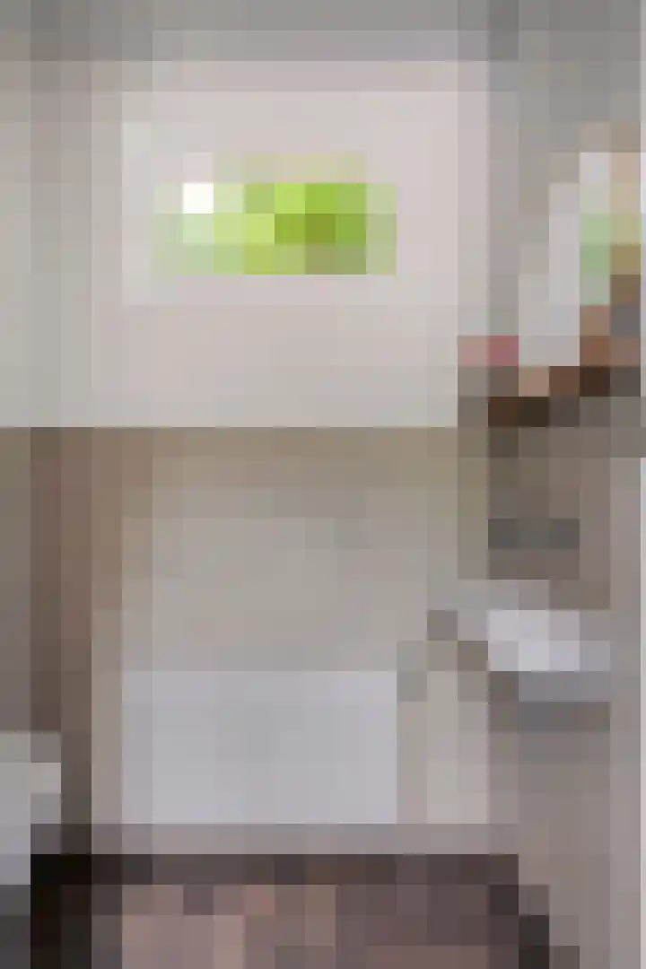 Kreeftstraat 11 Eindhoven thumbnail 19