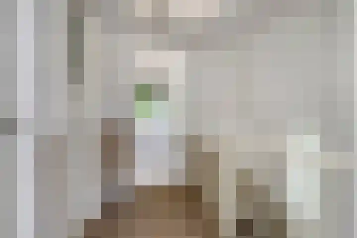 Kreeftstraat 11 Eindhoven thumbnail 21
