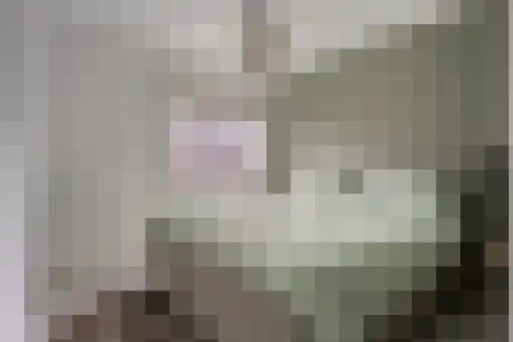 Kreeftstraat 11 Eindhoven thumbnail 24