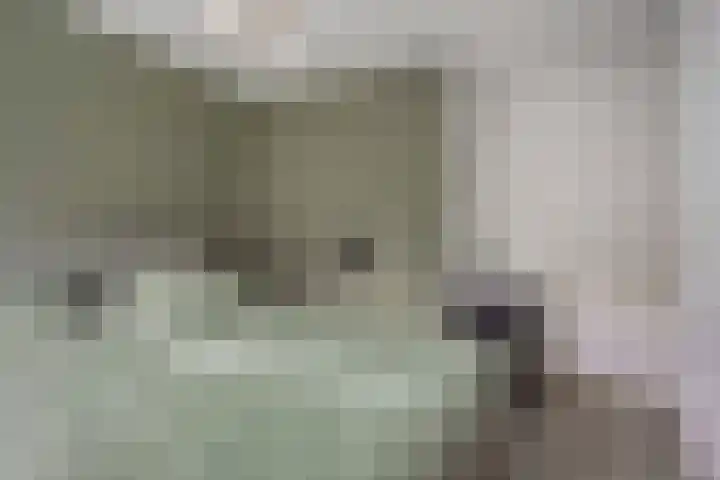 Kreeftstraat 11 Eindhoven thumbnail 27