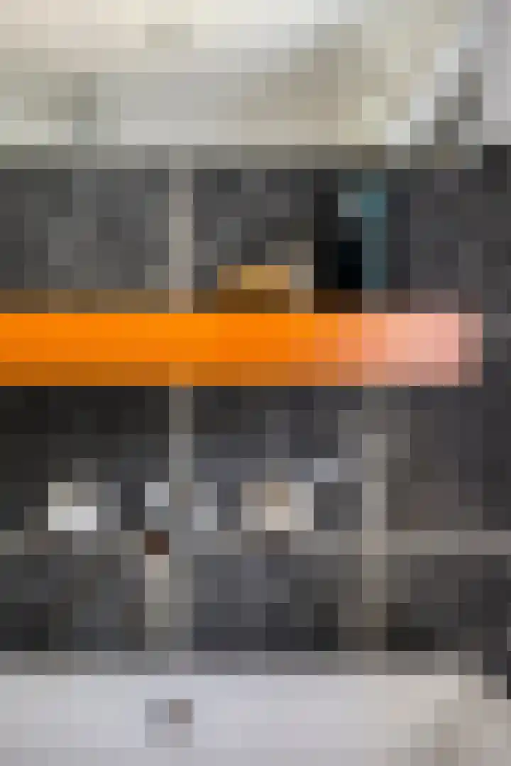 Kreeftstraat 11 Eindhoven thumbnail 31