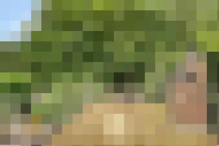Kreeftstraat 11 Eindhoven thumbnail 33